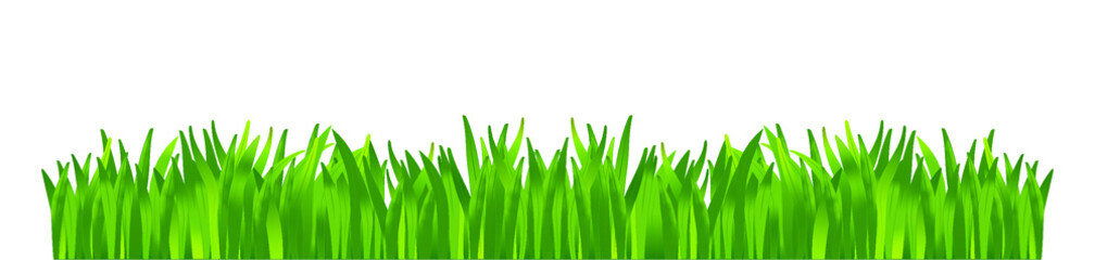 Eine illustrierte grüne Wiese isoliert auf weißem Hintergrund. - obrazy, fototapety, plakaty