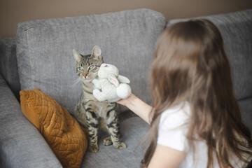 Dziewczynka bawiąca się z kotem w domu - obrazy, fototapety, plakaty