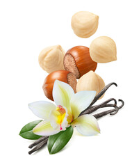 Flying hazelnuts, vanilla flowers and beans isolated on white background