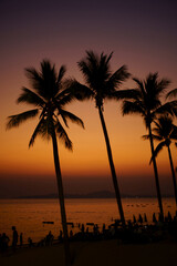 Fototapeta na wymiar Silhouette of coconut tree shadow and pattaya beach view destination of thailand