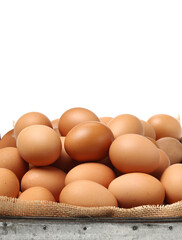 brown eggs on white background 