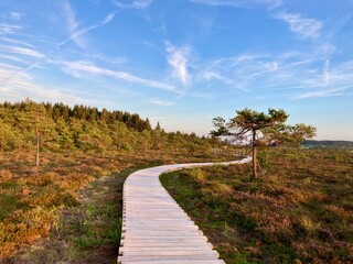 Schwarzes Moor in der Rhön