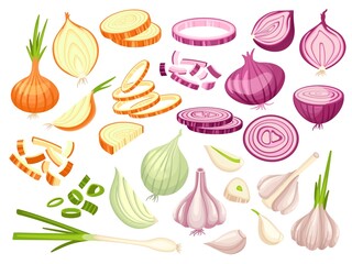 Fresh onion. Cartoon cutting red, white and green onions. Cut raw vegetables, slices and half parts. Garlic pieces, spring neat culinary vector kit