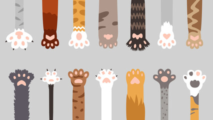 Cat foots. Flat cats paws, animals footprint background. Tiger leg with claws, fun pet and wild animal print. Decorative cute doodle footprints classy vector banner
