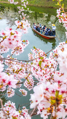 弘前城　春　桜　お堀巡り　絶景