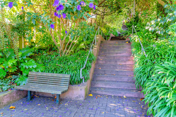 Wooden bench near the staircase in an outdoor garden park at San Francisco, California