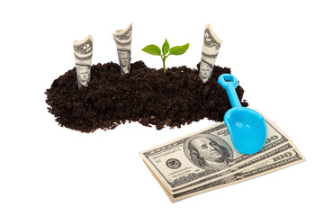 The concept of financial growth. Money growing out of the ground with a green sprout, shovel, dollars, on a white background