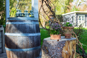 Obraz premium wooden barrel and tree stump with flower pots in green garden