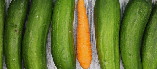 organic cucumbers and carrot on wooden background

