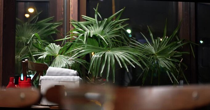environment in the restaurant with decoration of trees and plants