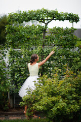 Cute girl woman in a dress looking an apple tree on a trellis, beautiful classic garden and unusual...
