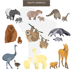 Obraz premium South American animals