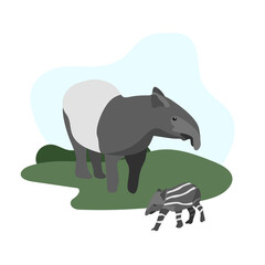 South American animals