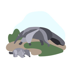 South American animals