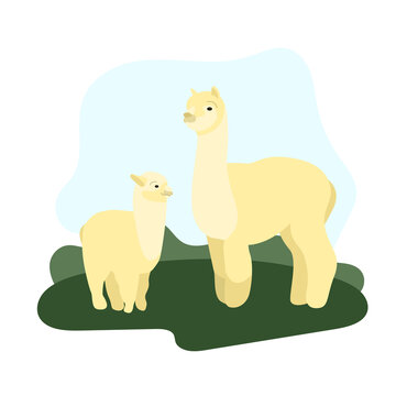 recommend clip art: South American animals