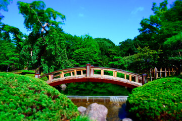 Fototapeta na wymiar 日本庭園の太鼓橋