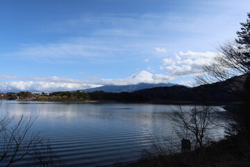  A scene of Sai-ko Lake, one of the Five Lakes at the foot of Mt.Fuji in Minamitsuru-gun County in Yamanashi Prefecture in Japan 日本の山梨県南都留郡にある富士五湖の一つ西湖の風景