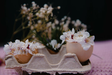 blossom and grass in eggshells next to a white dried flower lie in an egg pack on a pink background