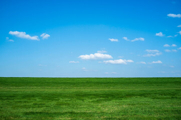 Obraz na płótnie Canvas Wonderful rural landscape.Field with green fresh grass against a blue sky and white clouds, on a spring day. Beautiful picture.