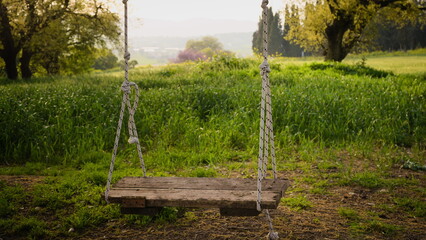  woodeen swing in the garden