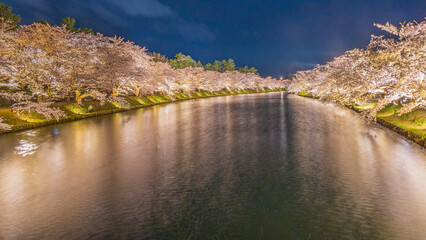 弘前城　桜並木　ライトアップ　絶景