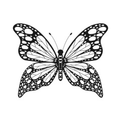 Butterfly insect. Butterfly black and white color. Vector illustration isolated on white.