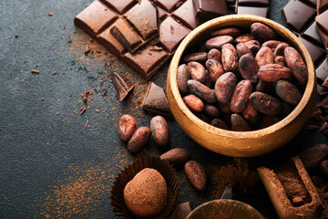 Chocolate bean cocoa. Composition of cocoa powder, bean cocoa bars and pieces of different milk and...