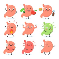 Stomach mascot. Stomaches medical character cute face healthy abdomen, crying gastric pain ulcera gut happy strong belly unhealthy food nutrition, neat medicine vector illustration