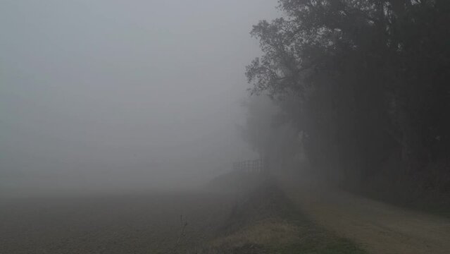 Beautiful predawn fog in the countryside. Silhouettes of trees in the haze. Rural road, fields and forests in a mist. Mysterious fairytale atmosphere.