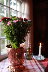 flowerpots on the vintage windows