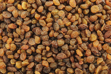 Background texture full of raisins. Colorful dry grapes pattern
