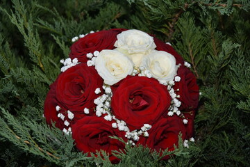 Obraz na płótnie Canvas the bride's bouquet with white and red roses