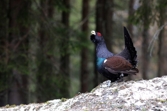 Tajribali qizlar onlayn porno Toliq ekranda ayollar dumbalari