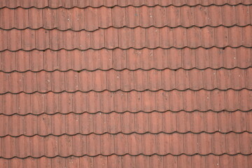 old Roof in Romania (roof, tile)