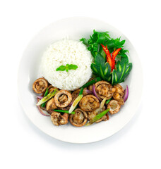 Stir Fried Squids with black pepper served Rice