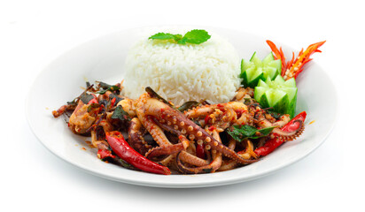 Stir Fried Tentacles Squids Spicy with Basil Served Rice