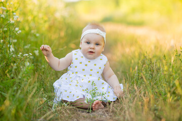 charming little girl in a white dress is sitting on a flower meadow. child playing outdoors