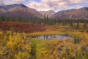 Denali National Park landscape, Alaska, USA