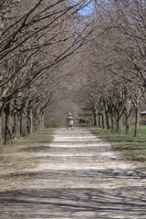 Gravel park path leading up ti a stone statue