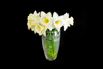 white daffodils in a vase on a black background