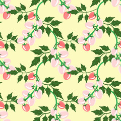 Vector - Tomatoes plant watercolor illustration.