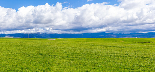 Obraz premium cereal fields on the outskirts of the city of Segovia
