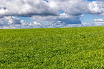 cereal fields on the outskirts of the city of Segovia