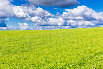 cereal fields on the outskirts of the city of Segovia