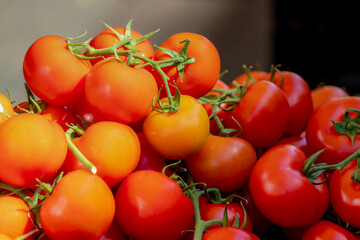 Selective focus red tomatoes in the basket display on the market stall with sunlight, The tomato is the edible berry of the plant Solanum lycopersicum, Fresh vegetable from farm, Nature background.