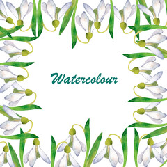 Spring white snowdrop, Watercolor frames for postcards, spring background, the first delicate flowers	