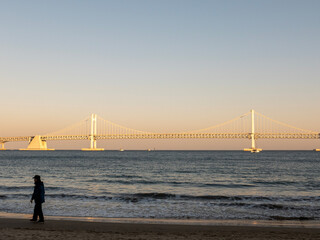Obraz premium golden gate bridge