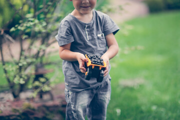 Obraz premium Cute boy child playing with a black berry truck in the park, summer, children's games in the backyard and in the garden, berry harvest