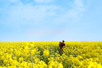 Child and her mother both refugees standing in a field of yellow blooming field and a blue sky. Ukrainian flag concept