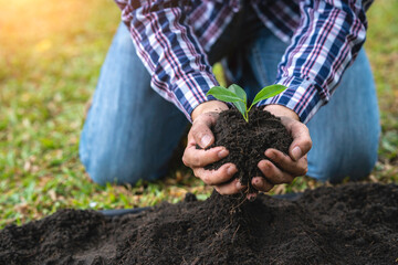 man planting sapling trees, volunteers planting trees on world environment day, green world, reduce global warming pollution